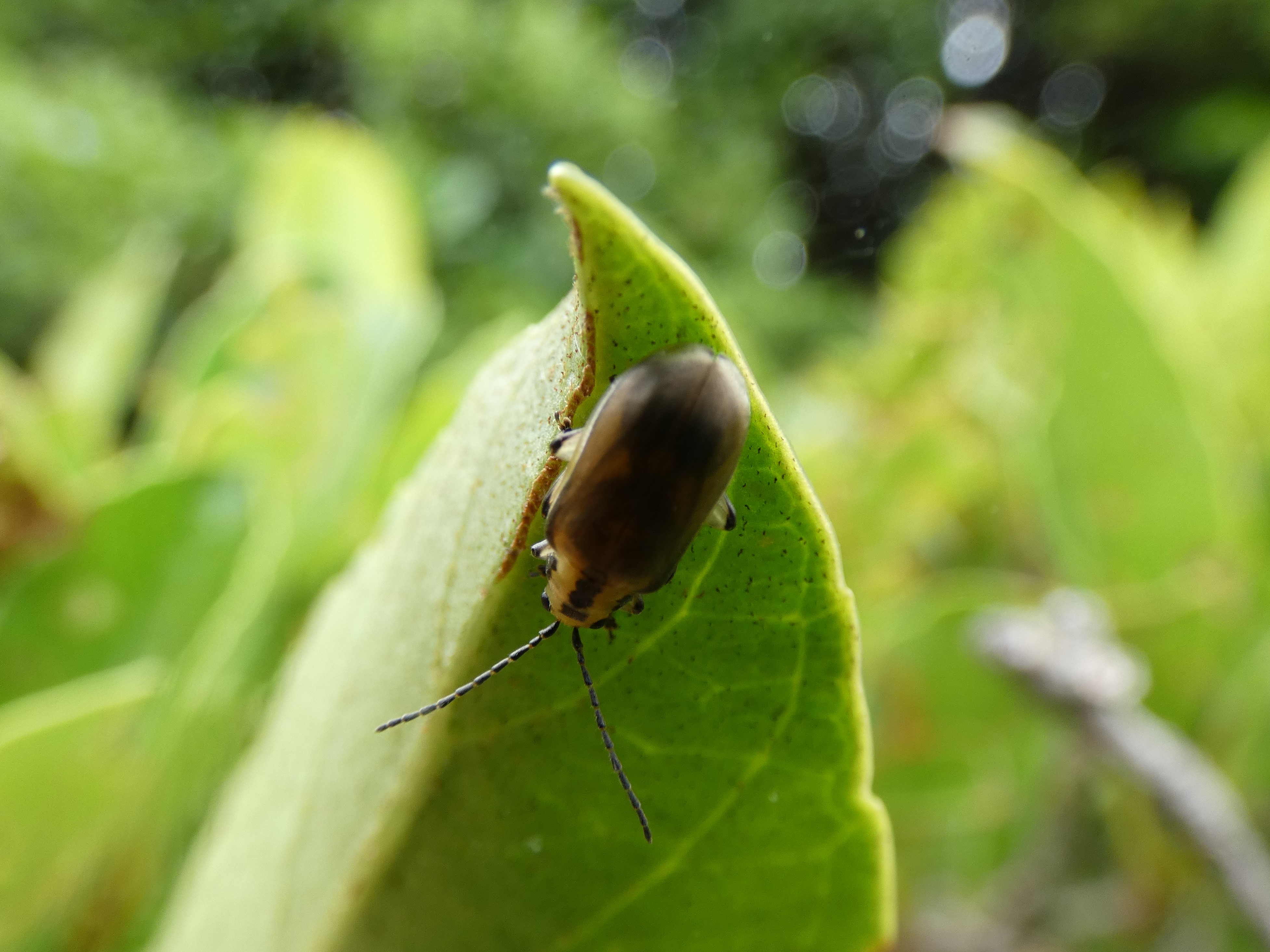 photo_1